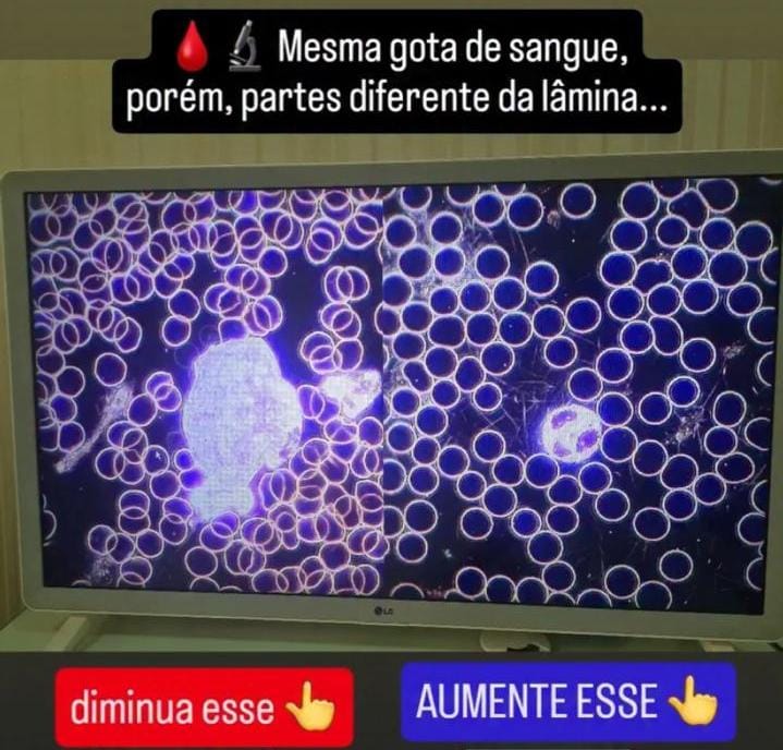 lã